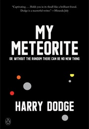 My Meteorite (Harry Dodge)