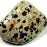 Dalmation Spotted Jasper
