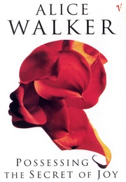 Possessing the Secret of Joy (Alice Walker)