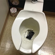 Dropped Your Cell Phone Into Toilet