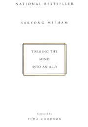 Turning the Mind Into an Ally (Sakyong Mipham)