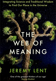 The Web of Meaning (Jeremy Lent)