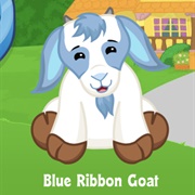 Blue Ribbon Goat