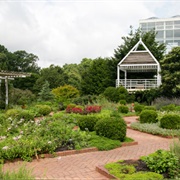 The State Botanical Garden of Georgia