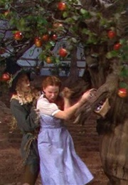 The Wizard of Oz: Apple Picking (1939)