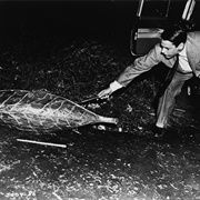 Pod People (Invasion of the Body Snatchers, 1956)