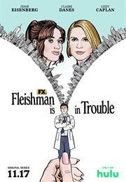 Fleishman Is in Trouble (TV Series) (2022)