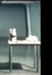 Communist Body Fascist Body (Abramovic) (1979)