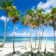 Marbella Beach, Roatan, Honduras