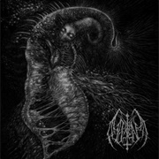 Ill Omen - Divinity Through Un-Creation