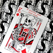 The Flesh Eaters ‎– No Questions Asked