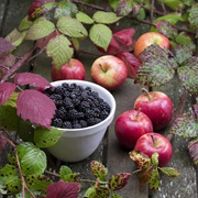 Apple and Blackberries