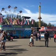Tanana Valley Fairgrounds