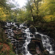 Virginia Water Lake, Surrey