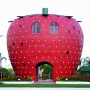 Bomb Principio City, Brazil