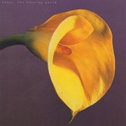 The Burning World (Swans, 1989)