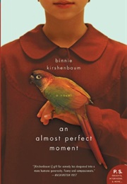 An Almost Perfect Moment (Binnie Kirshenbaum)