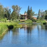 Inglewood Bird Sanctuary, Calgary