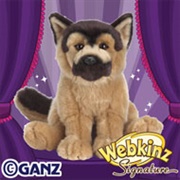 Signature German Shepherd