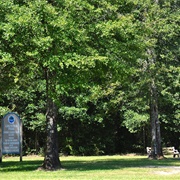 Britton Hill, Florida