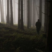 They Go Into the Woods