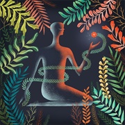 LOMA | Don't Shy Away