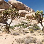 Hall of Horrors, Joshua Tree National Park