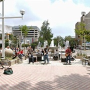 Avenida Chapultepec, Guadalajara