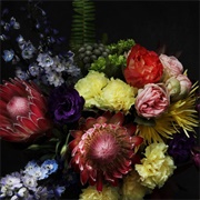 Cold Cave - Fate in Seven Lessons