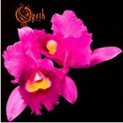 Orchid - Opeth