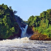 Uganda - Murchison Falls
