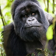 Visit a Wildlife Reserve