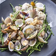 Grooved Carpet Shell