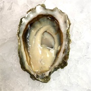 Penn Cove Oysters