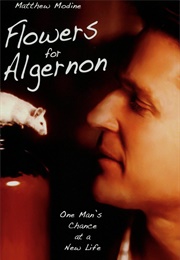 Flowers for Algernon (2000)