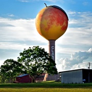 Clanton, AL Peach Park