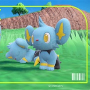 Shinx