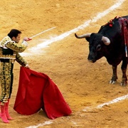 See a Bullfight