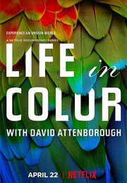 Life in Color With David Attenborough (2021)