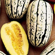 Winter Squash