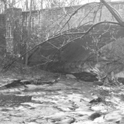 Brecksville Reservation