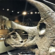 Dickinson Museum Center, North Dakota