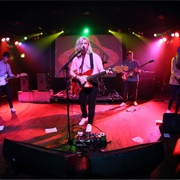 Pomeranian Spinster - Alvvays