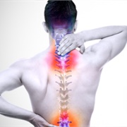 Degenerated Lower Back and Lower Neck