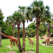 Jacksonville Zoo and Gardens