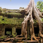 Angkor Wat, Siem Reap, Cambodia