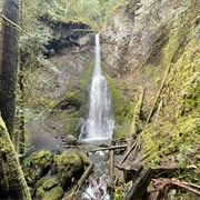 Marymere Falls Trail, Olympic National Park