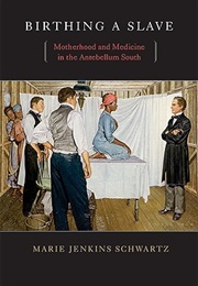 Birthing a Slave: Motherhood and Medicine in the Antebellum South (Marie Jenkins Schwartz)
