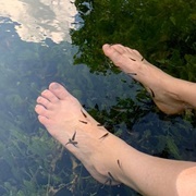 Fish Pedicure in the Wild