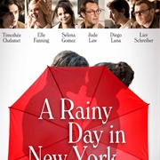 A Rainy Day in New York